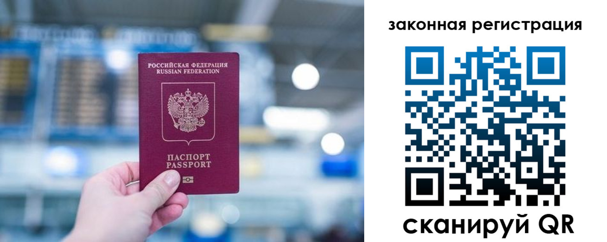 прописка поиск в Болотном